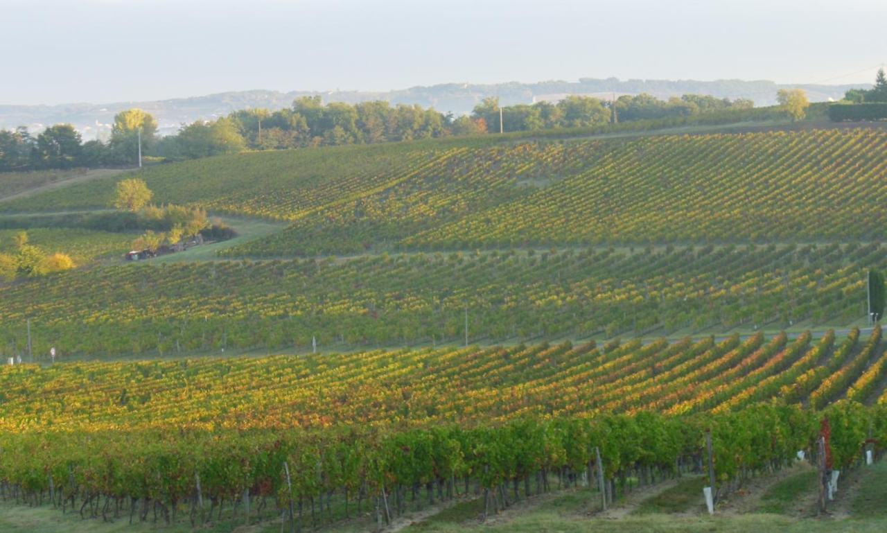 Romantic Gite Nr St Emilion With Private Pool And Views To Die For Pujols  Eksteriør bilde