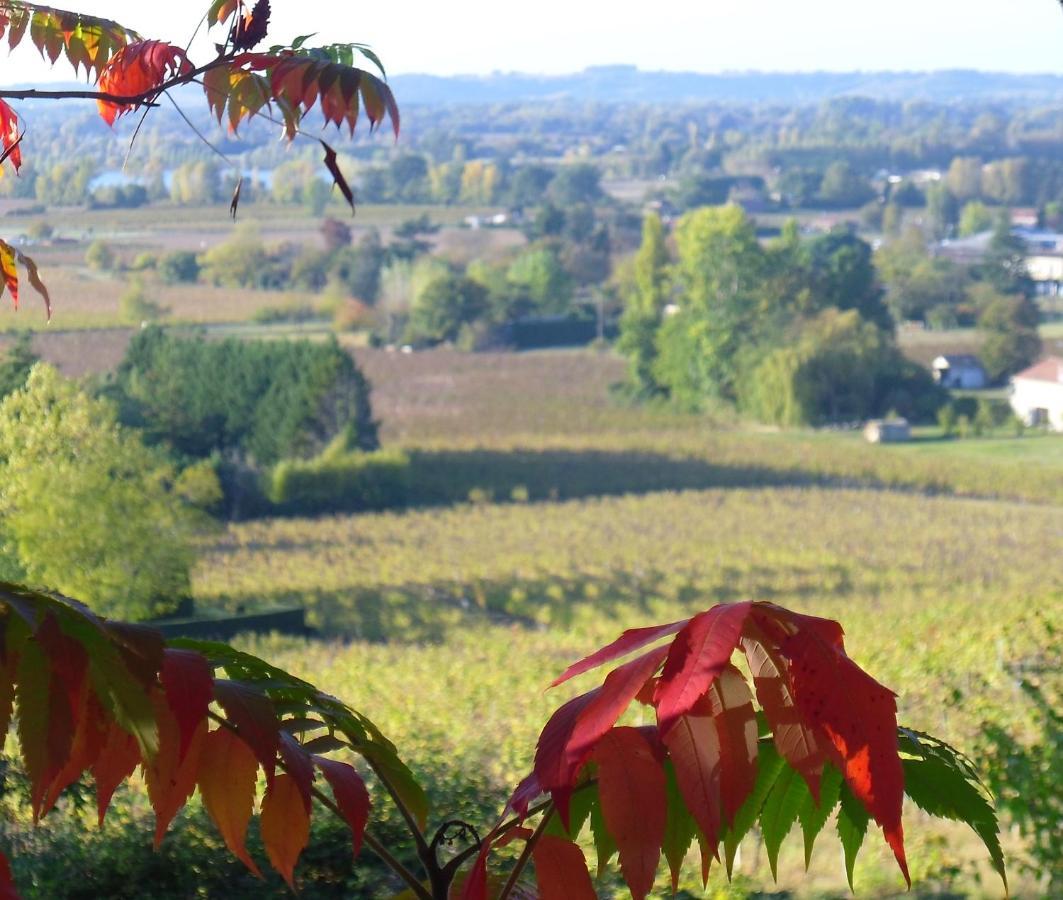 Romantic Gite Nr St Emilion With Private Pool And Views To Die For Pujols  Eksteriør bilde