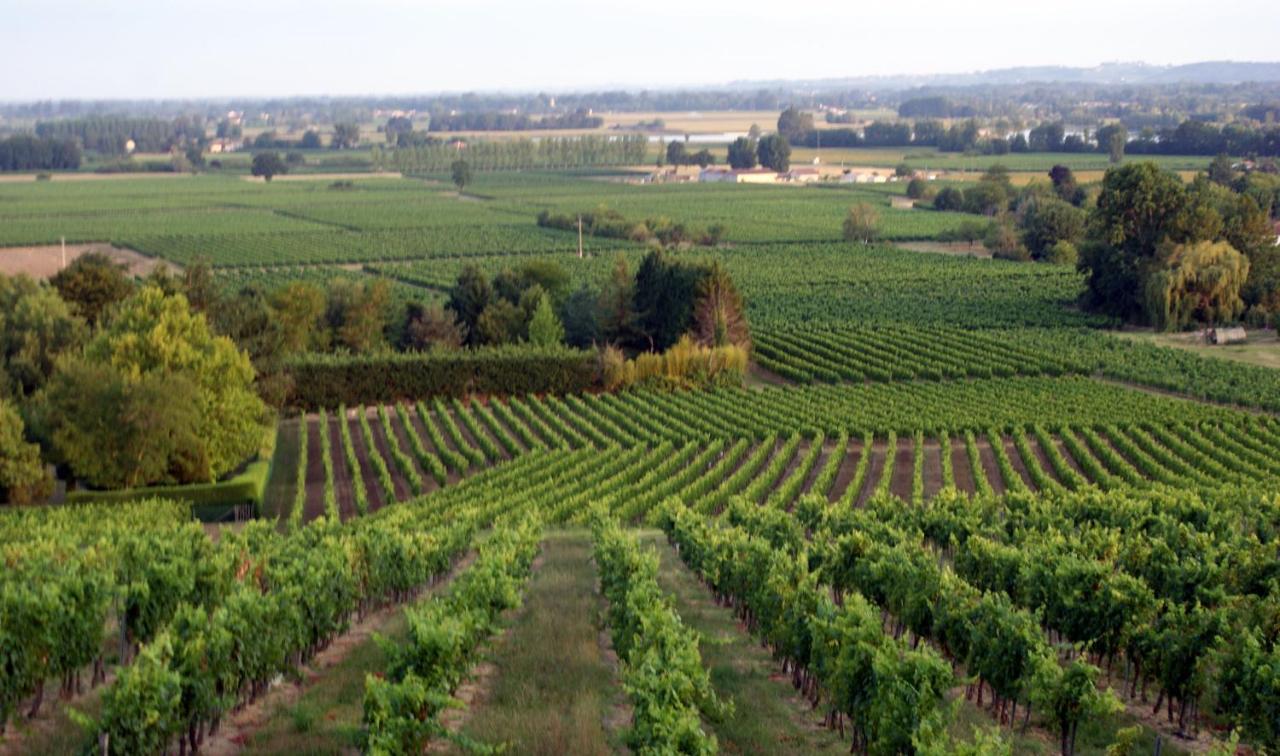 Romantic Gite Nr St Emilion With Private Pool And Views To Die For Pujols  Eksteriør bilde